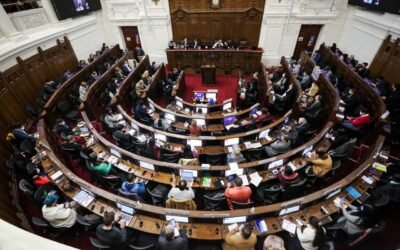 Elecciones en la Convención: seguir construyendo un nuevo Chile